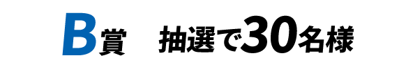 B賞 抽選30名様